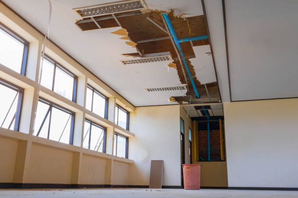Best Basement water damage restoration  in Home Gardens, CA