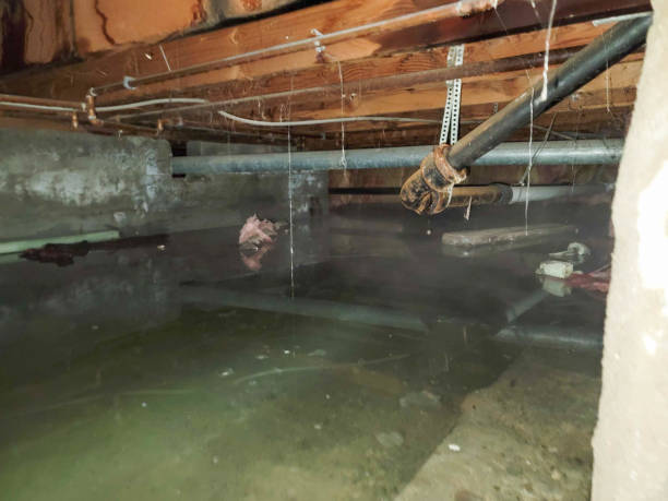 Best Ceiling water damage repair  in Home Gardens, CA