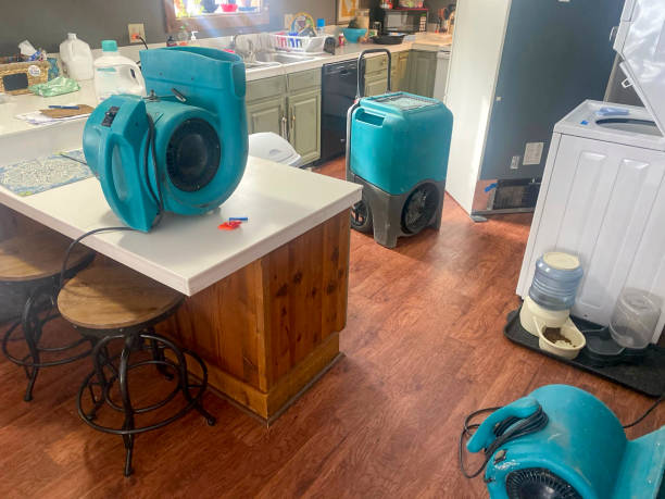 24/7 water damage repair in CA