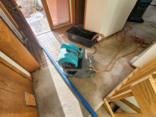 Sewage cleanup and water damage restoration in CA