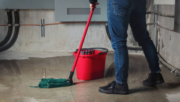 Best Sewage cleanup and water damage restoration  in Home Gardens, CA