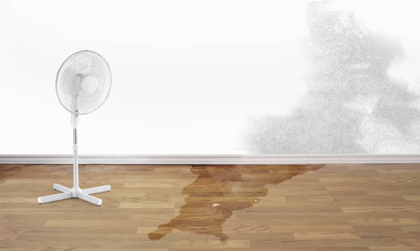 Best Flooded house restoration  in Home Gardens, CA