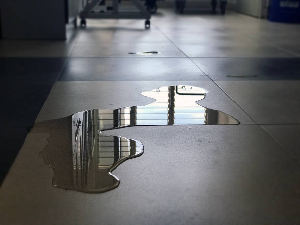 Best Water damage restoration near me  in Home Gardens, CA