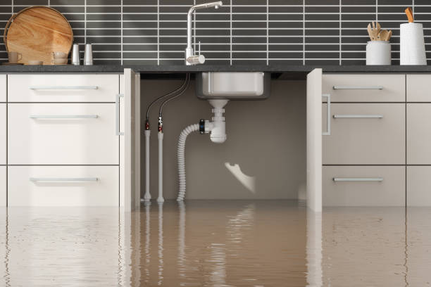 Best Fire Damage Restoration  in Home Gardens, CA