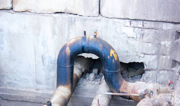 Best Mold removal after water damage  in Home Gardens, CA