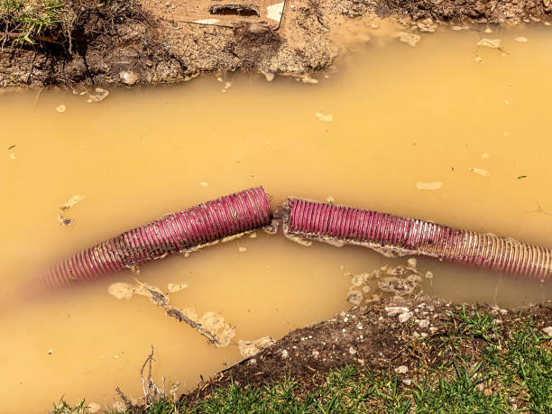 Reliable CA Water damage restoration Solutions